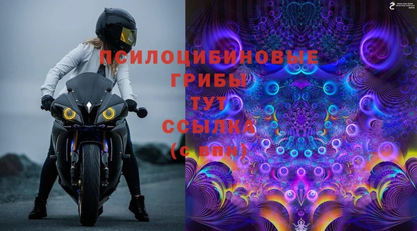 мяу мяу мука Беломорск