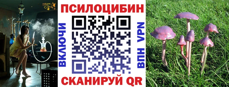 Галлюциногенные грибы Psilocybine cubensis Облучье