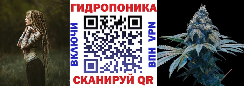 blacksprut сайт  Облучье  Канабис OG Kush 